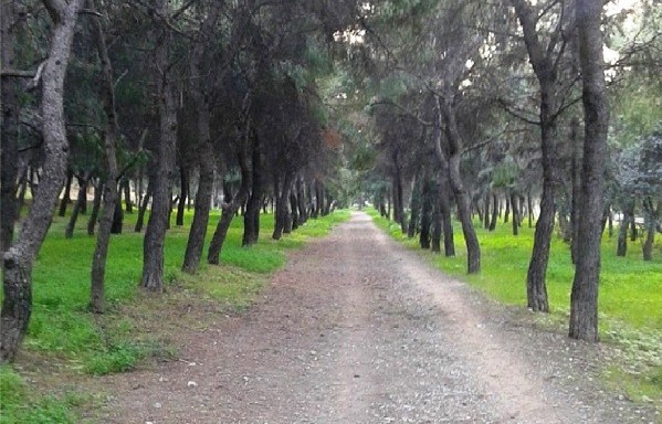 Έργα αναβάθμισης του Άλσους Νέας Φιλαδελφείας