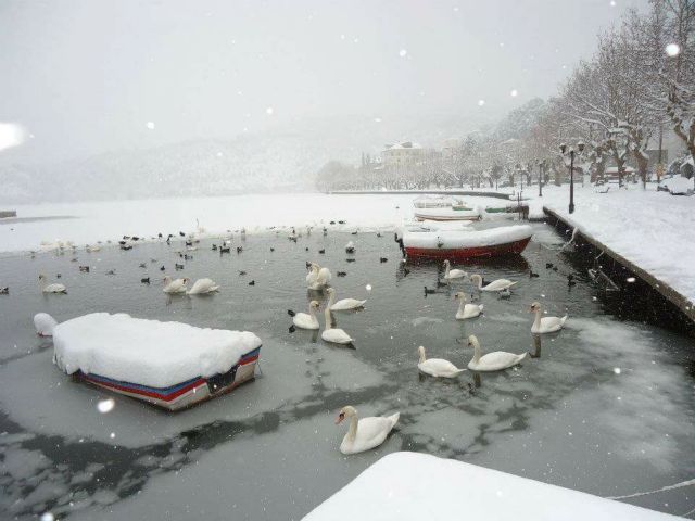 Παγωμένη η Λίμνη των Κύκνων στην Καστοριά