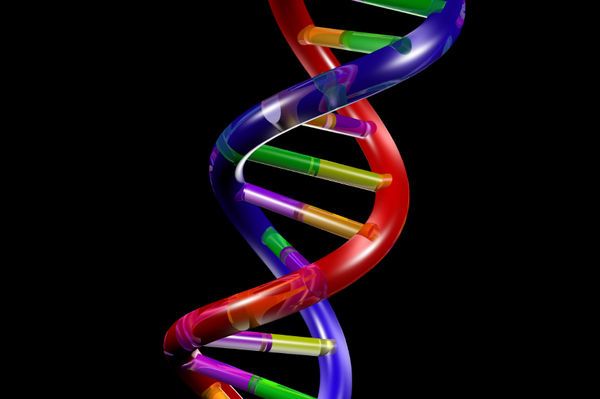 «Ημισυνθετικός οργανισμός» λειτουργεί με νέο γενετικό κώδικα