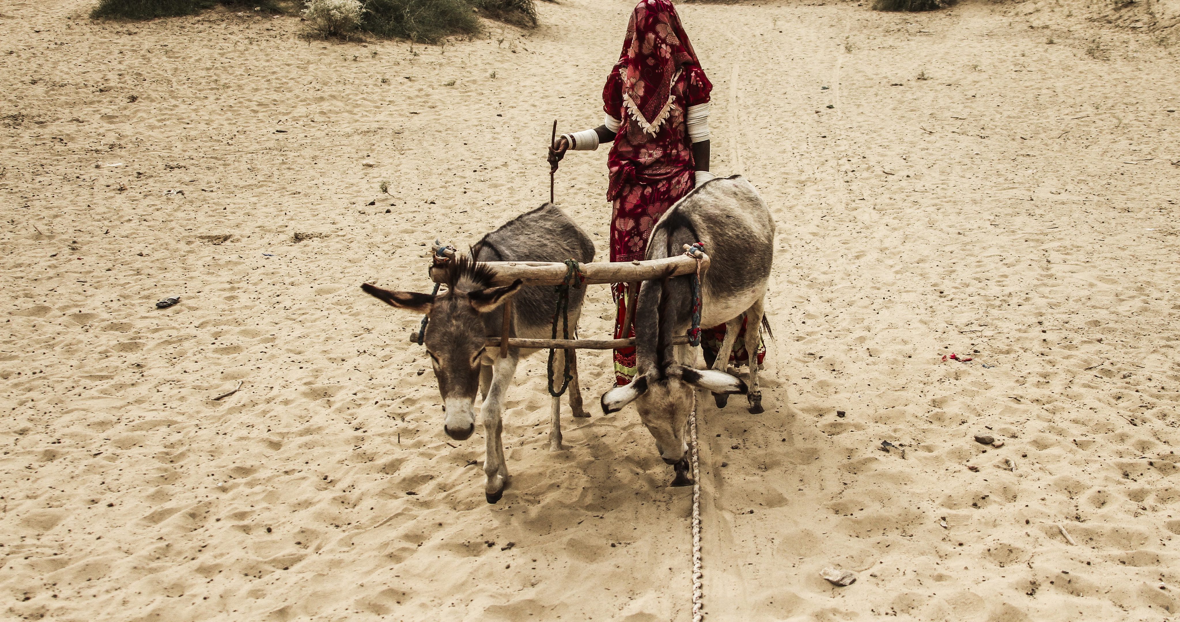 Καμπανάκι της Unicef: Λιμοκτονούν 1,4 εκατ. παιδιά σε τέσσερις χώρες