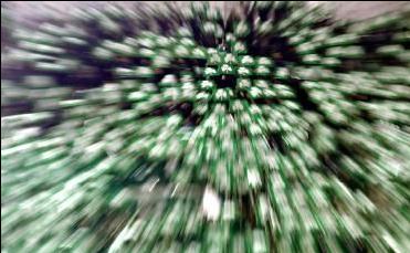 Παναθηναϊκός: 109 χρόνια ιστορίας