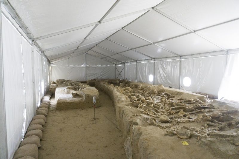 Mουσείο για τους «δεσμώτες» του Φαληρικού Δέλτα με υπογραφή Ρ.Πιάνο;