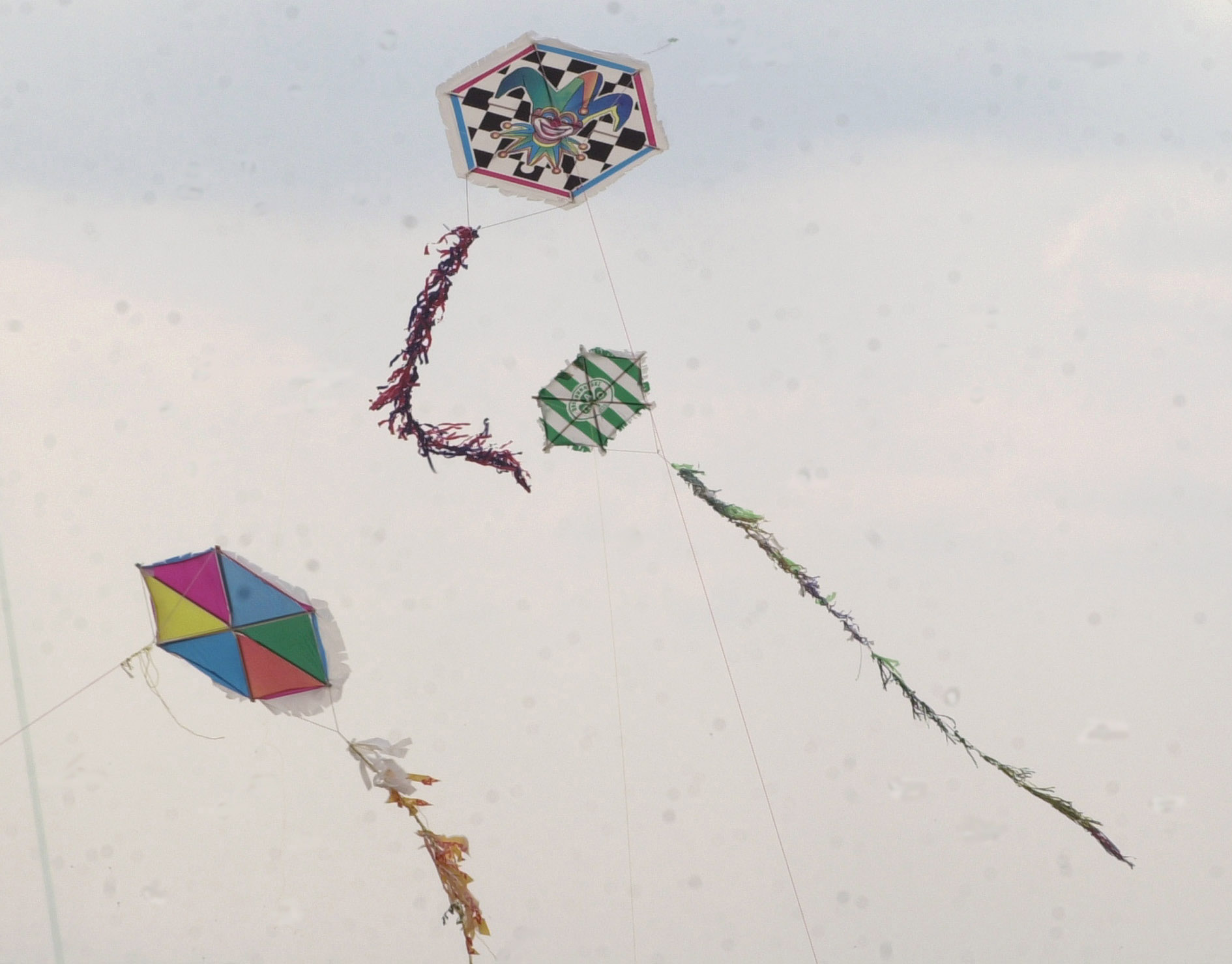 Κούλουμα στο λόφο Φιλοπάππου από τον Δήμο Αθηναίων