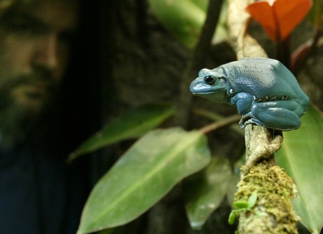 Φιλόδοξη πρωτοβουλία θέλει να διαβάσει το DNA όλης της ζωής στη Γη