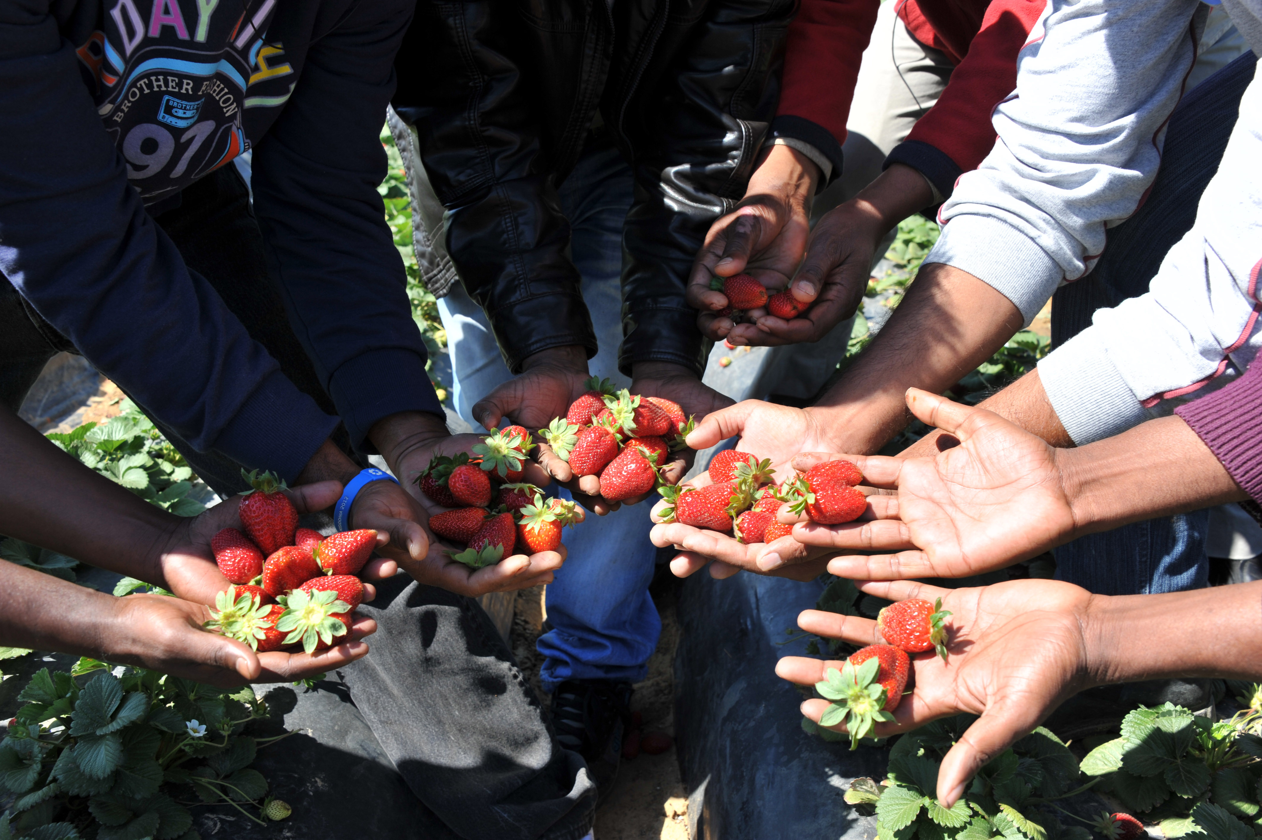Καταδίκη της Ελλάδας από το ΕΔΑΔ για την ντροπή της Μανωλάδας
