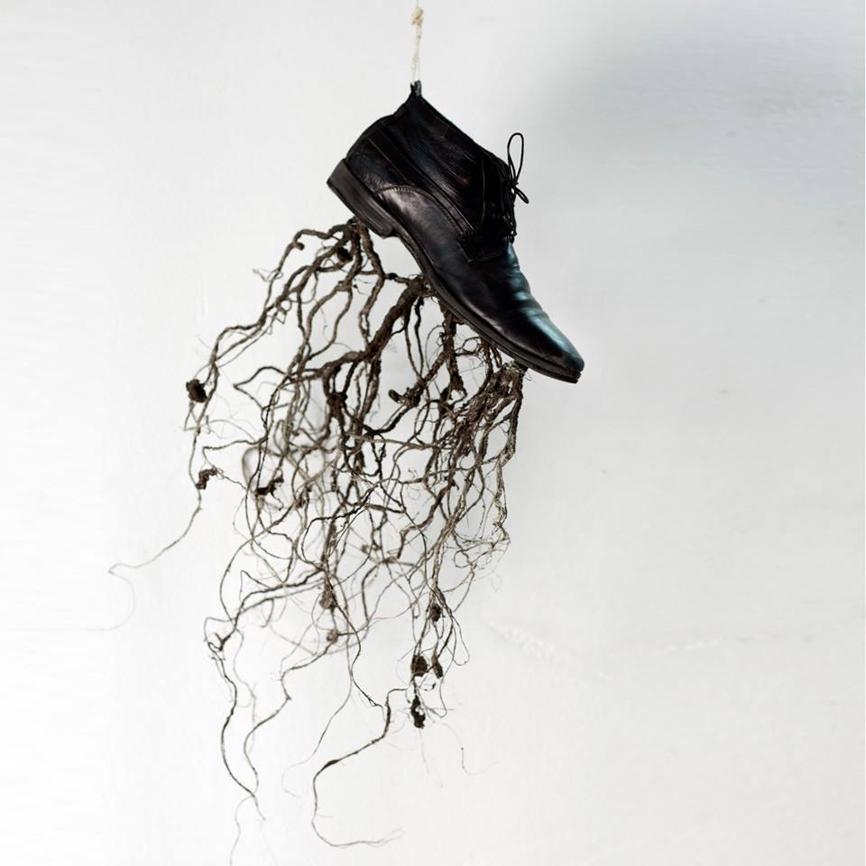 O Δημήτρης Παπαϊωάννου επιστρέφει με το «The Great Tamer» – Προπώληση