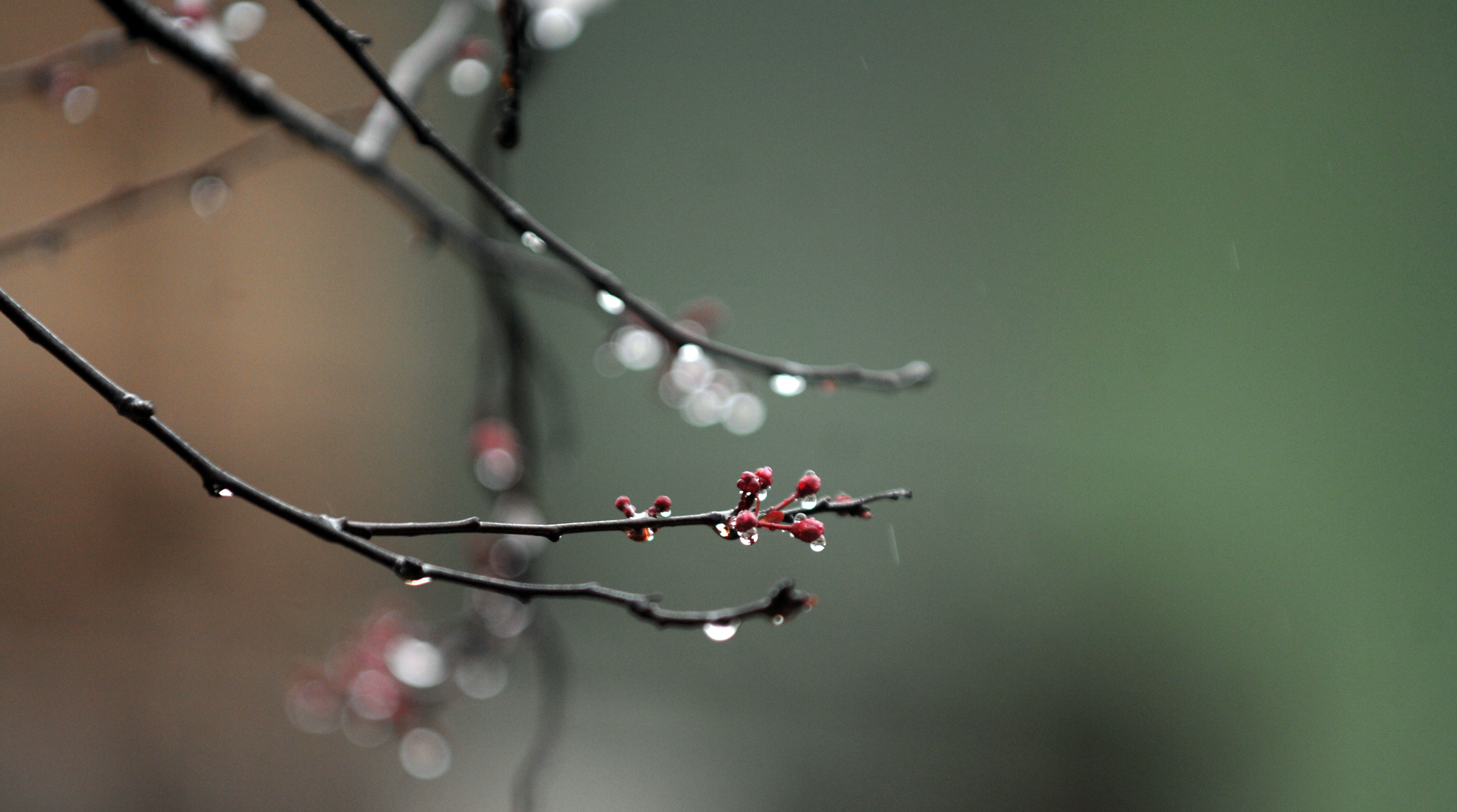 Χαλάει ο καιρός το Σάββατο, βροχές και καταιγίδες στα νότια