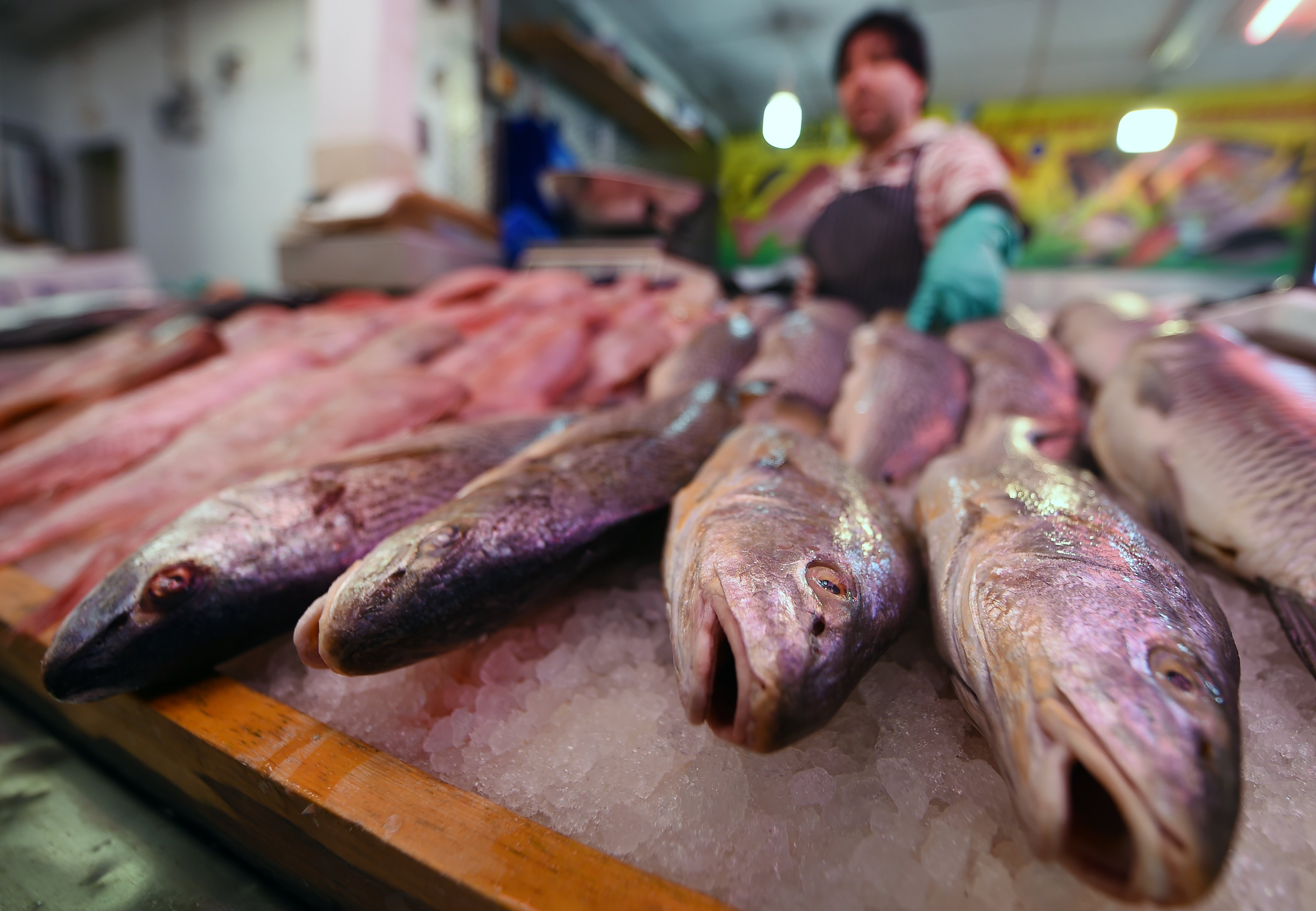 Ηλικιωμένη στην Ταϊβάν μετέφερε ψάρια σε πανάκριβη τσάντα