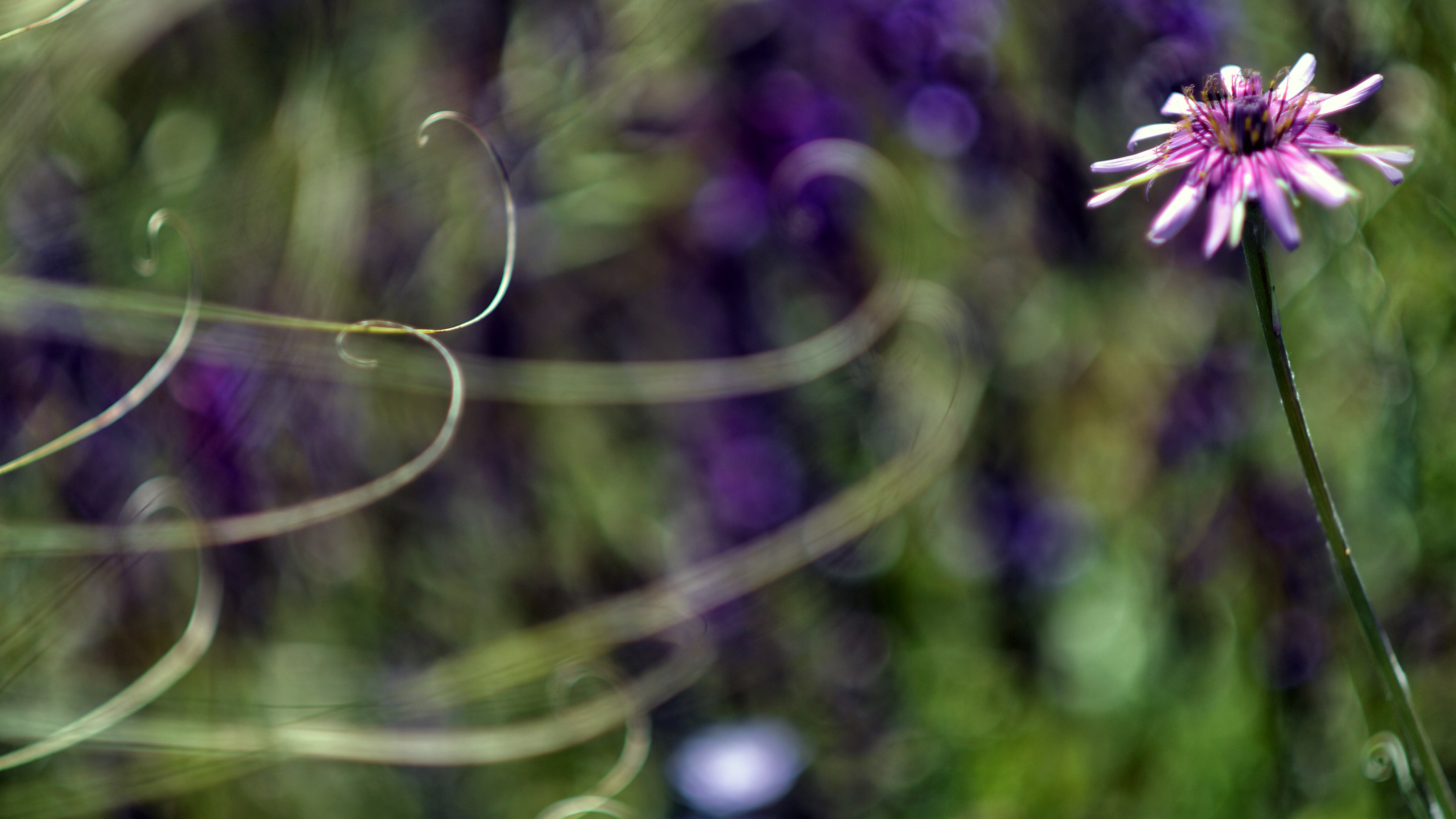 Με ήλιο το ψήσιμο του οβελία, βροχές τη Δευτέρα του Πάσχα