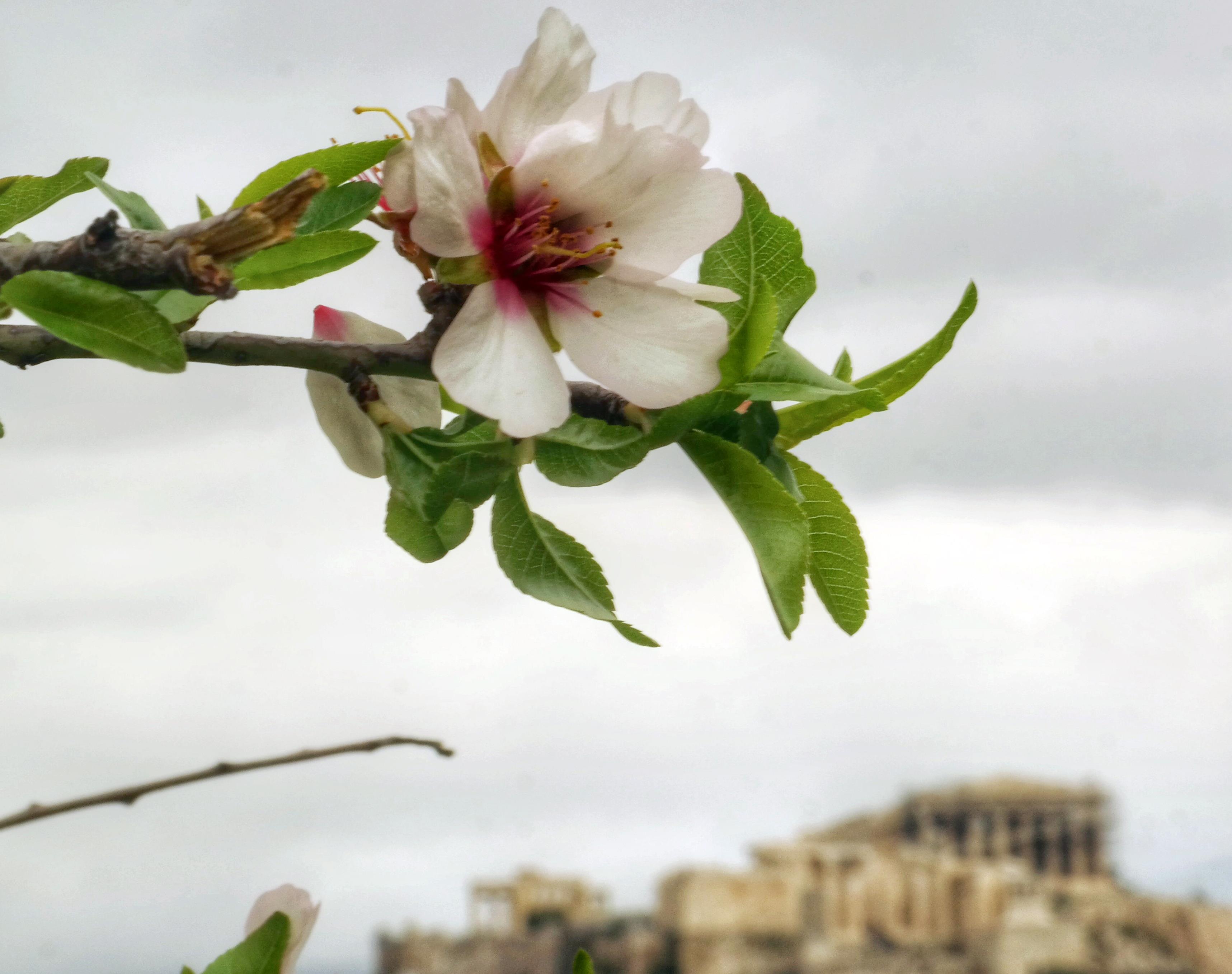 Ο καιρός σύμμαχος των εκδρομέων του Πάσχα