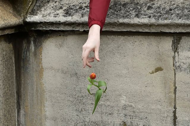 Ένα εκατομμύριο πράξεων κανονικότητας