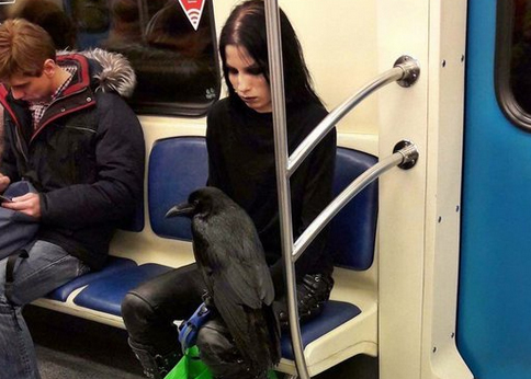 Όταν είσαι σε goth διάθεση, μπαίνεις στο μετρό με το κοράκι σου