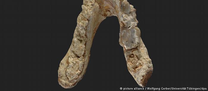 Εμφανίστηκε ο πρώτος άνθρωπος στην Ελλάδα;