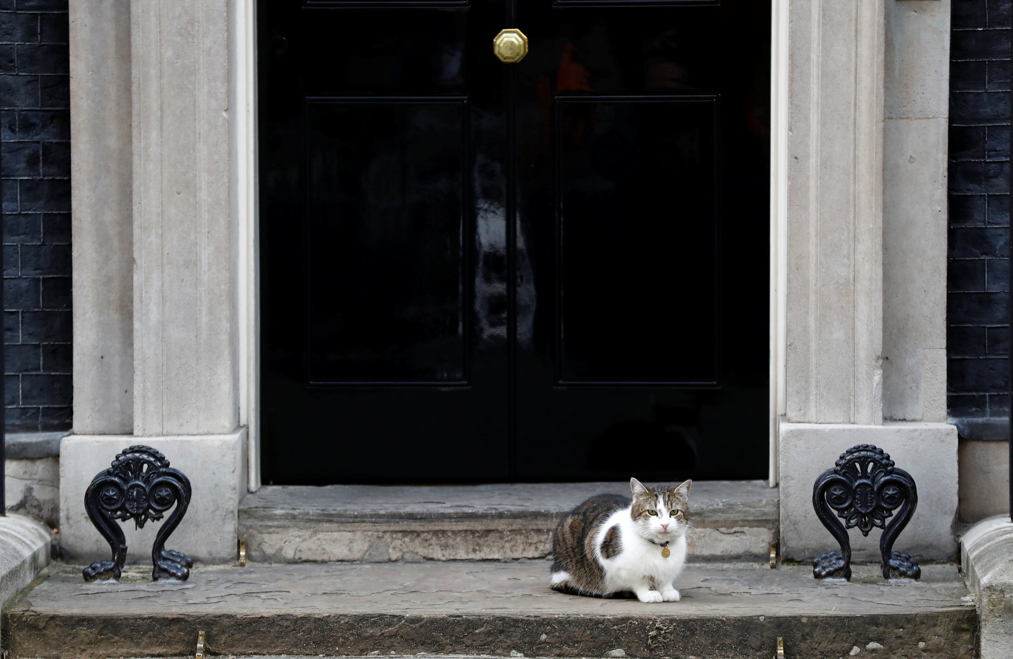 Tα σενάρια της επόμενης ημέρας στη Βρετανία