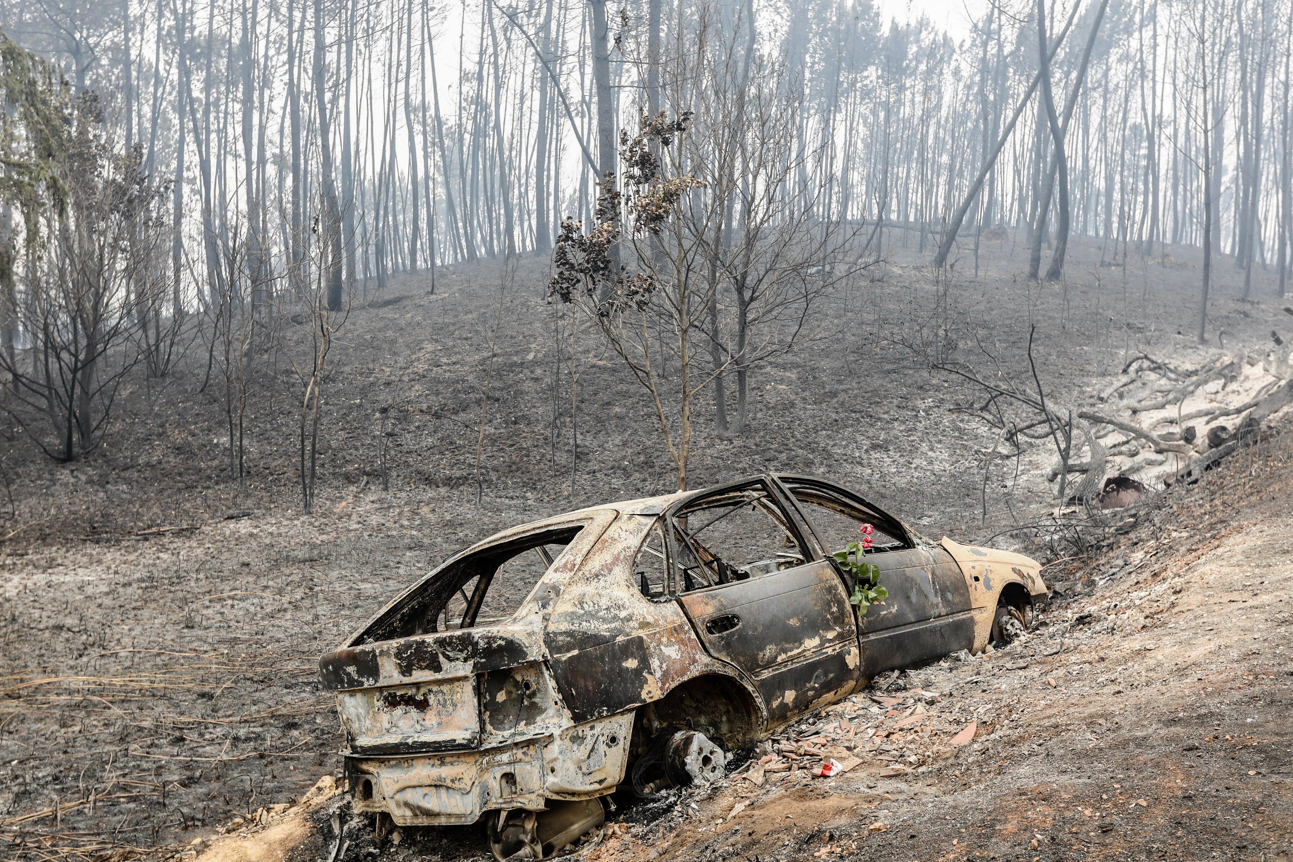 Εικόνες αποκάλυψης στην Πορτογαλία μετά τη φονική πυρκαγιά