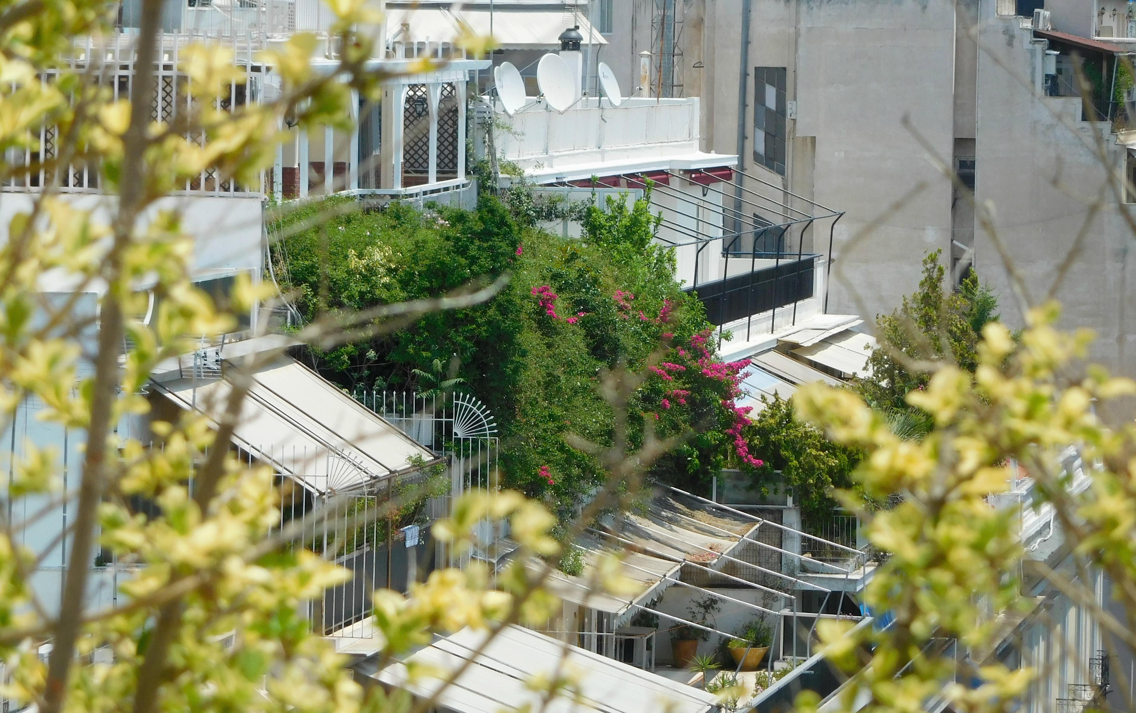 Πλειστηριασμοί: Εφιάλτης για την πρώτη κατοικία