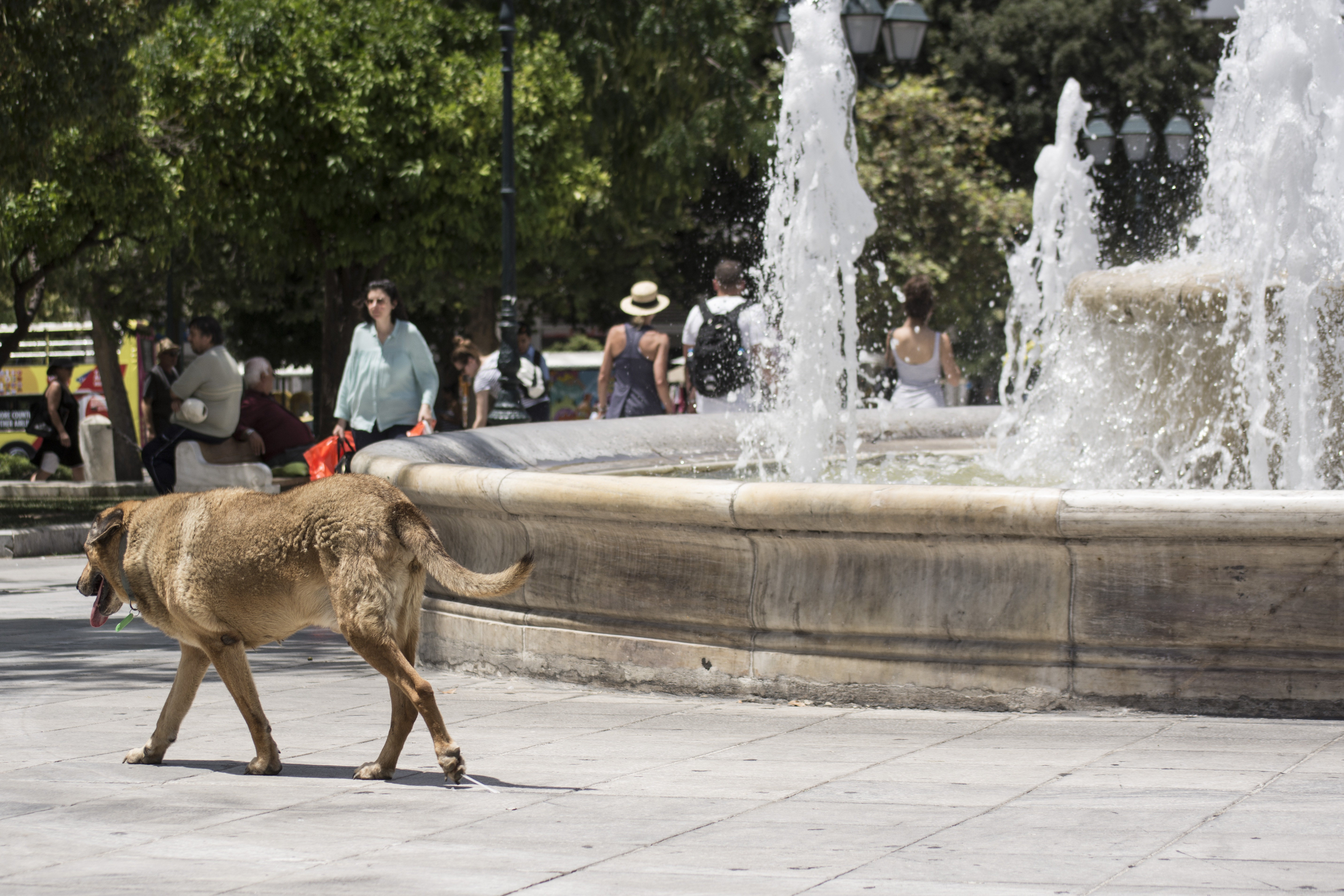 Κλιματιζόμενοι χώροι στην Αθήνα για τις ημέρες του μίνι καύσωνα