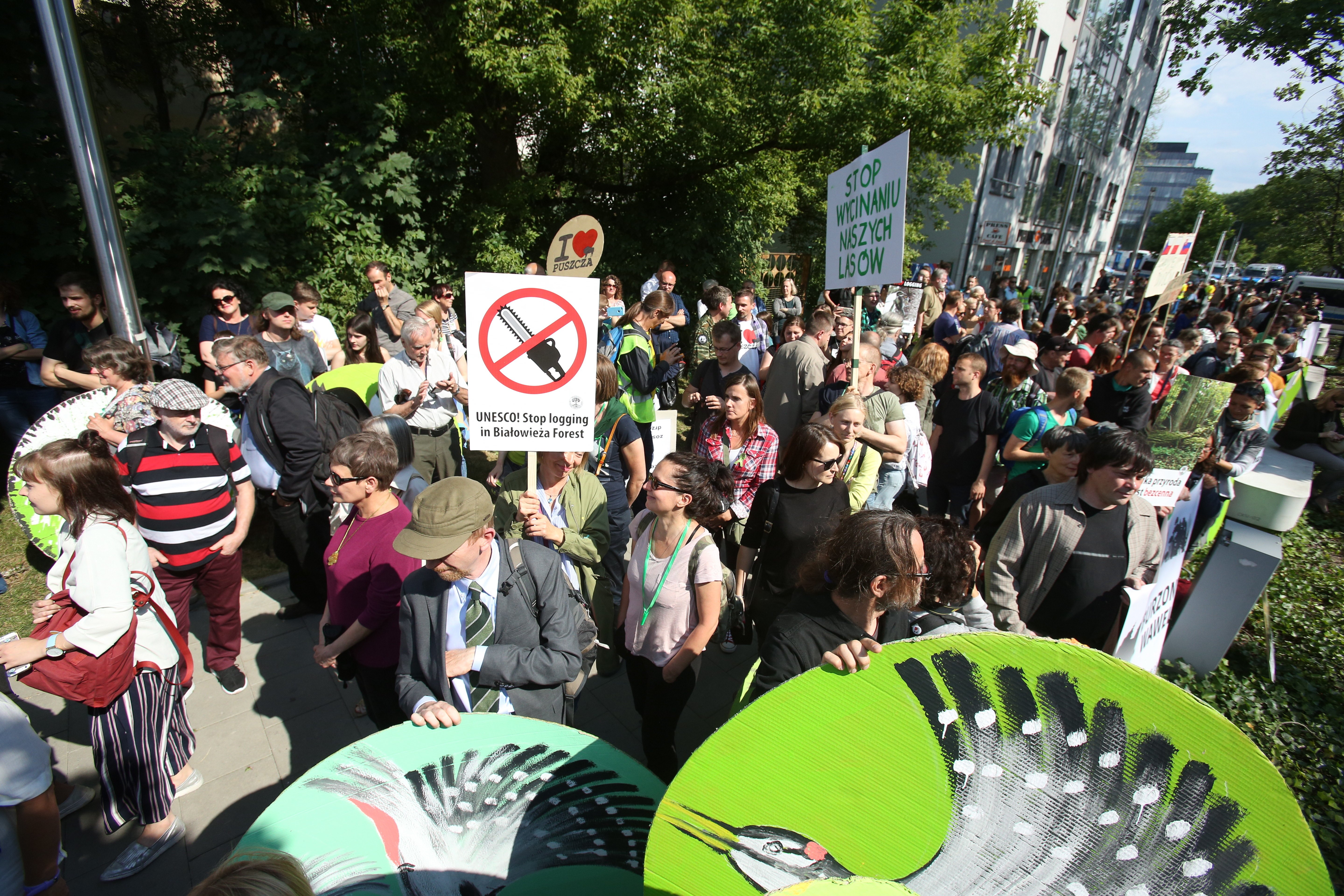 Η Πολωνία συνεχίζει την υλοτόμηση σε αρχέγονο δάσος, μνημείο της Unesco