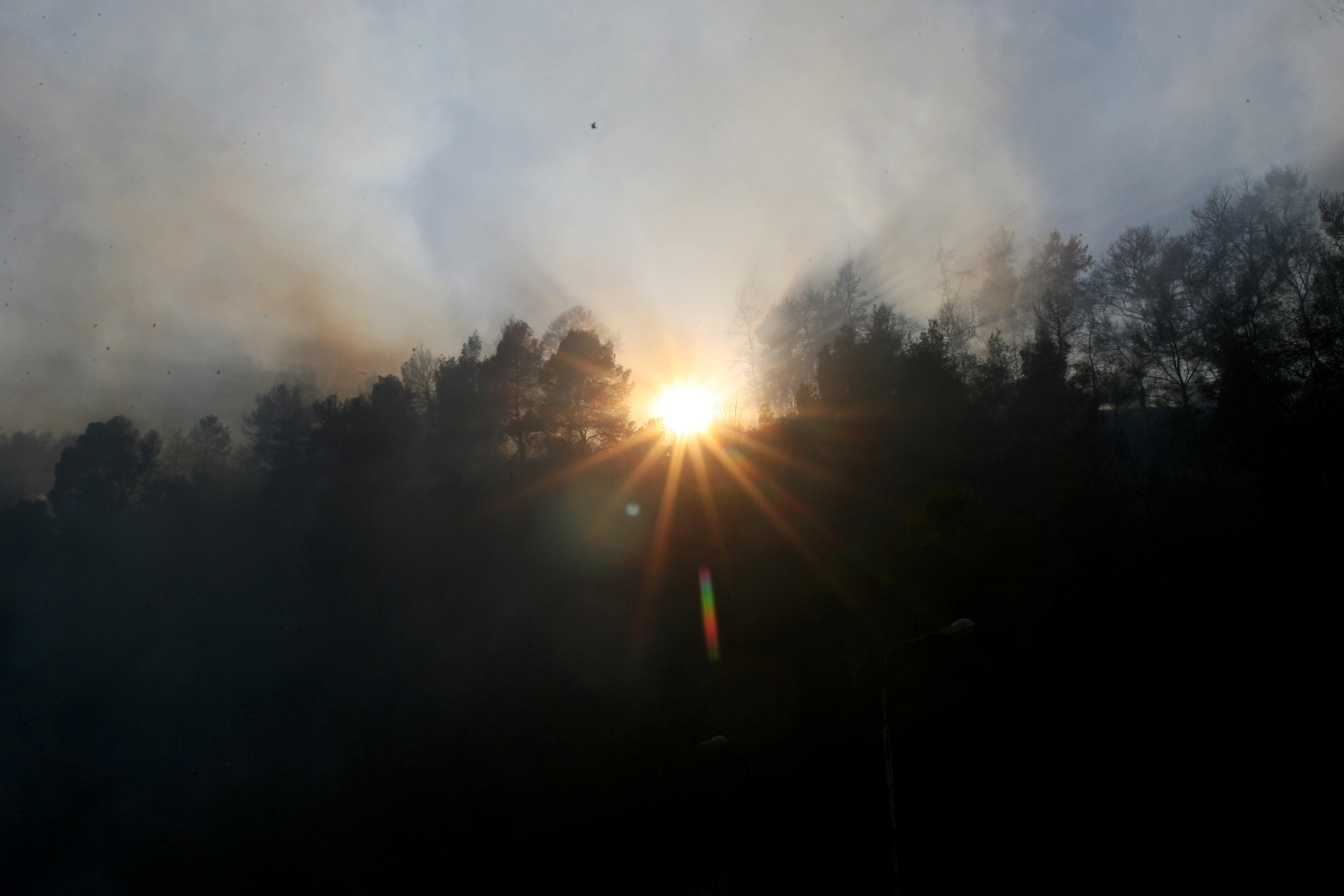 Πύρινα μέτωπα σε Κέρκυρα και Ζάκυνθο