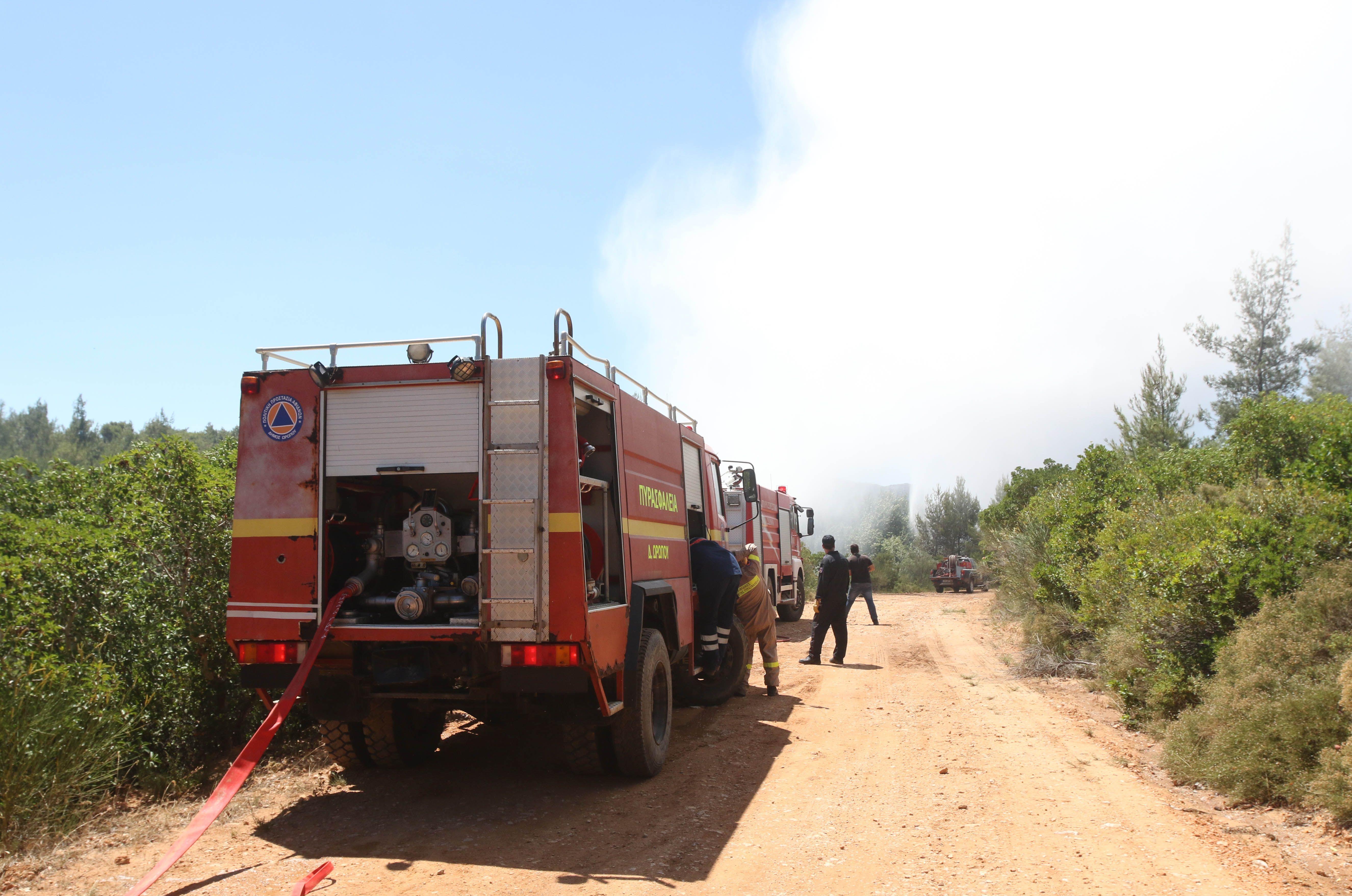 Yπό έλεγχο η πυρκαγιά στον Ξερόκαμπο Σητείας