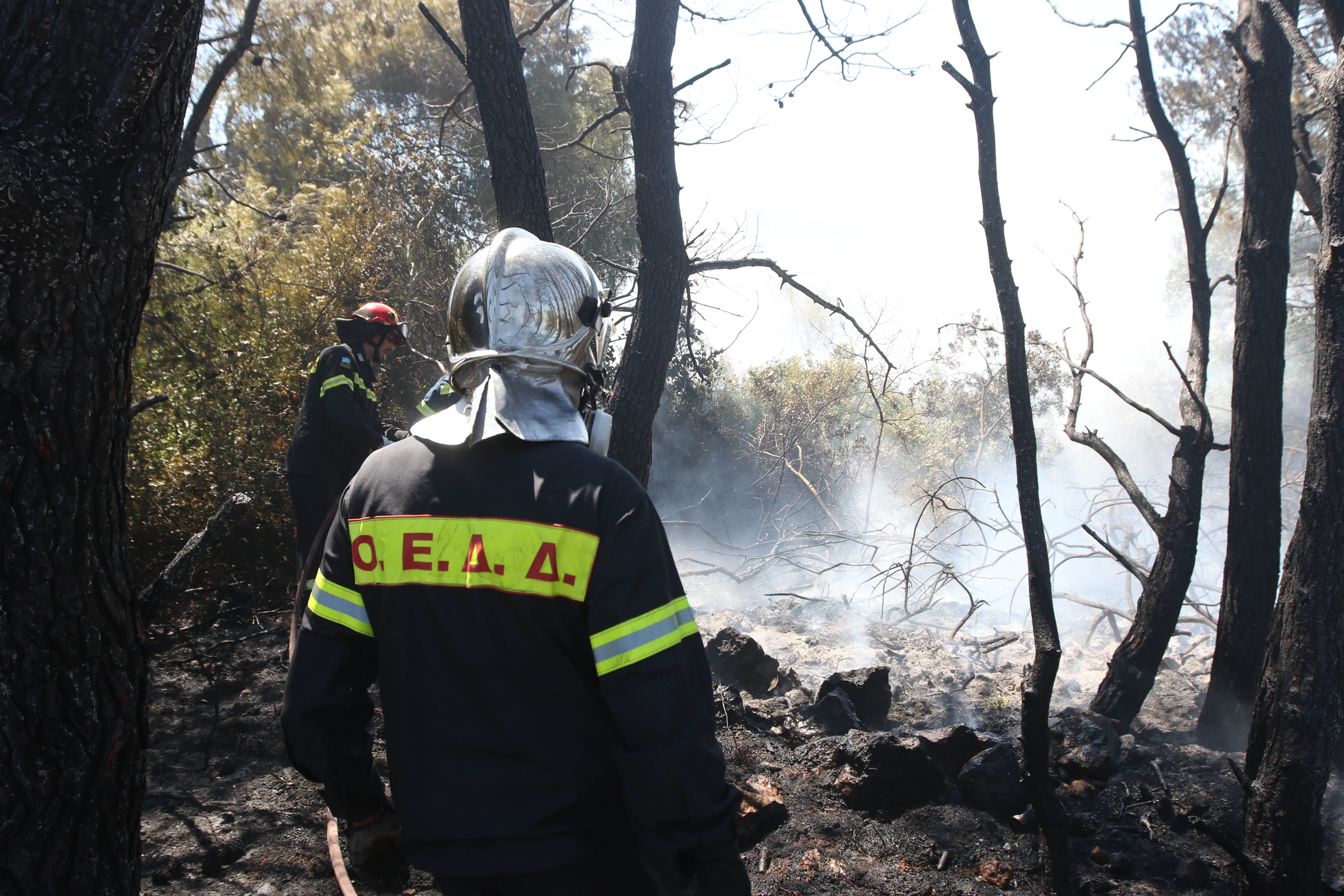 Πύρινα μέτωπα σε Ιωάννινα, Ηράκλειο και Μεσσηνία
