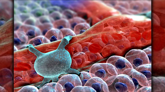 Mελέτη ανοίγει νέους δρόμους στη θεραπεία των εμφραγμάτων και του καρκίνου