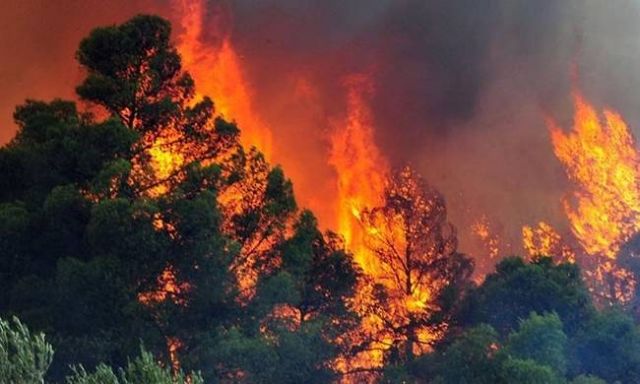 Καίγεται δασική έκταση στις Βολίμες Ζακύνθου