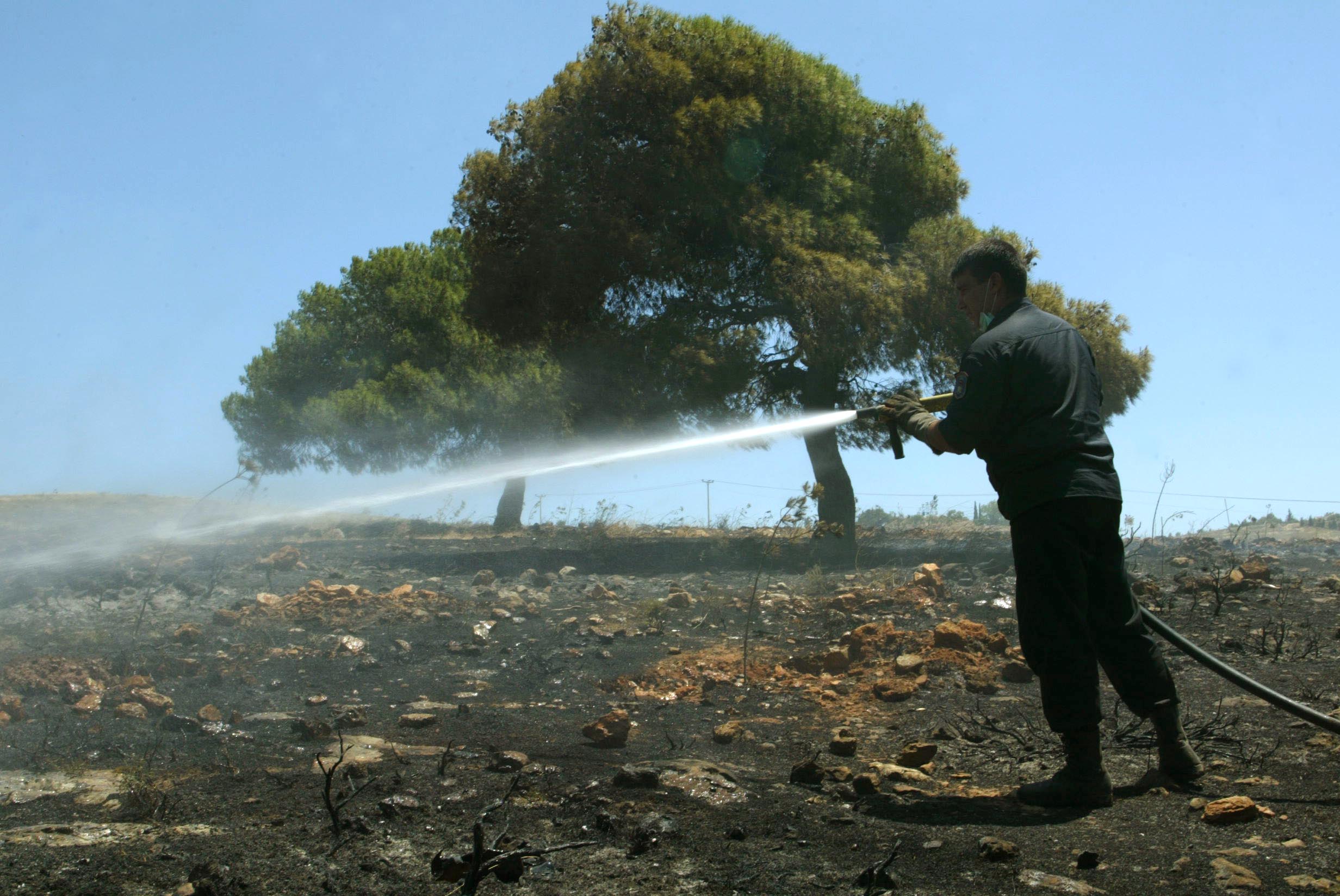 Εμπρησμός από πρόθεση η φωτιά στο Αλσος Βεΐκου