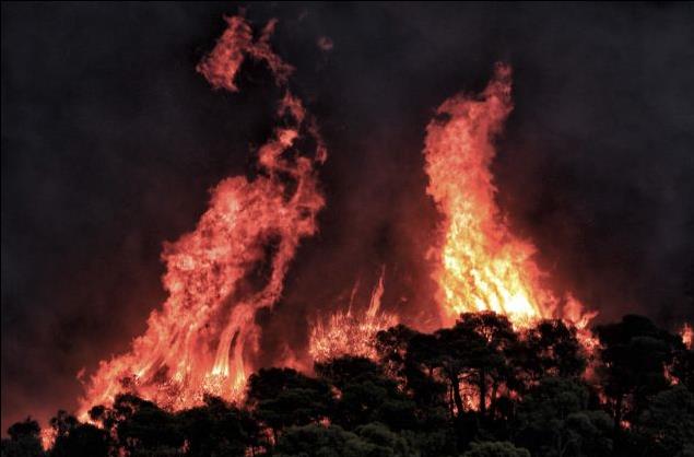 Μεγάλη φωτιά στην περιοχή Δαφνίλα της Κέρκυρας