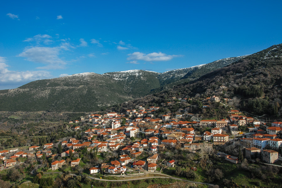 Ανδρίτσαινα, μια βιβλιοθήκη-κόσμημα