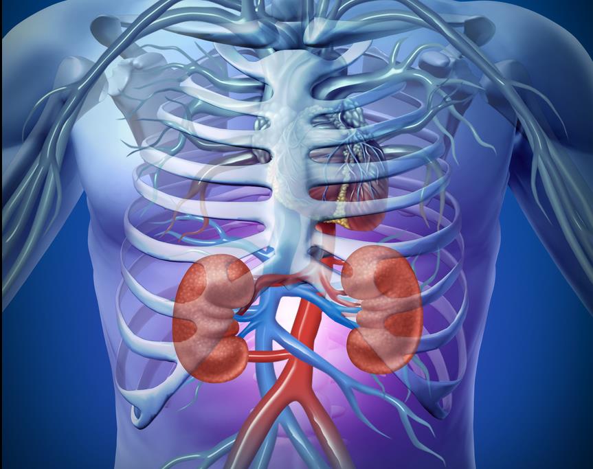 Συνδυαστική αγωγή βελτιώνει την επιβίωση ασθενών με νεφροκυτταρικό καρκίνο