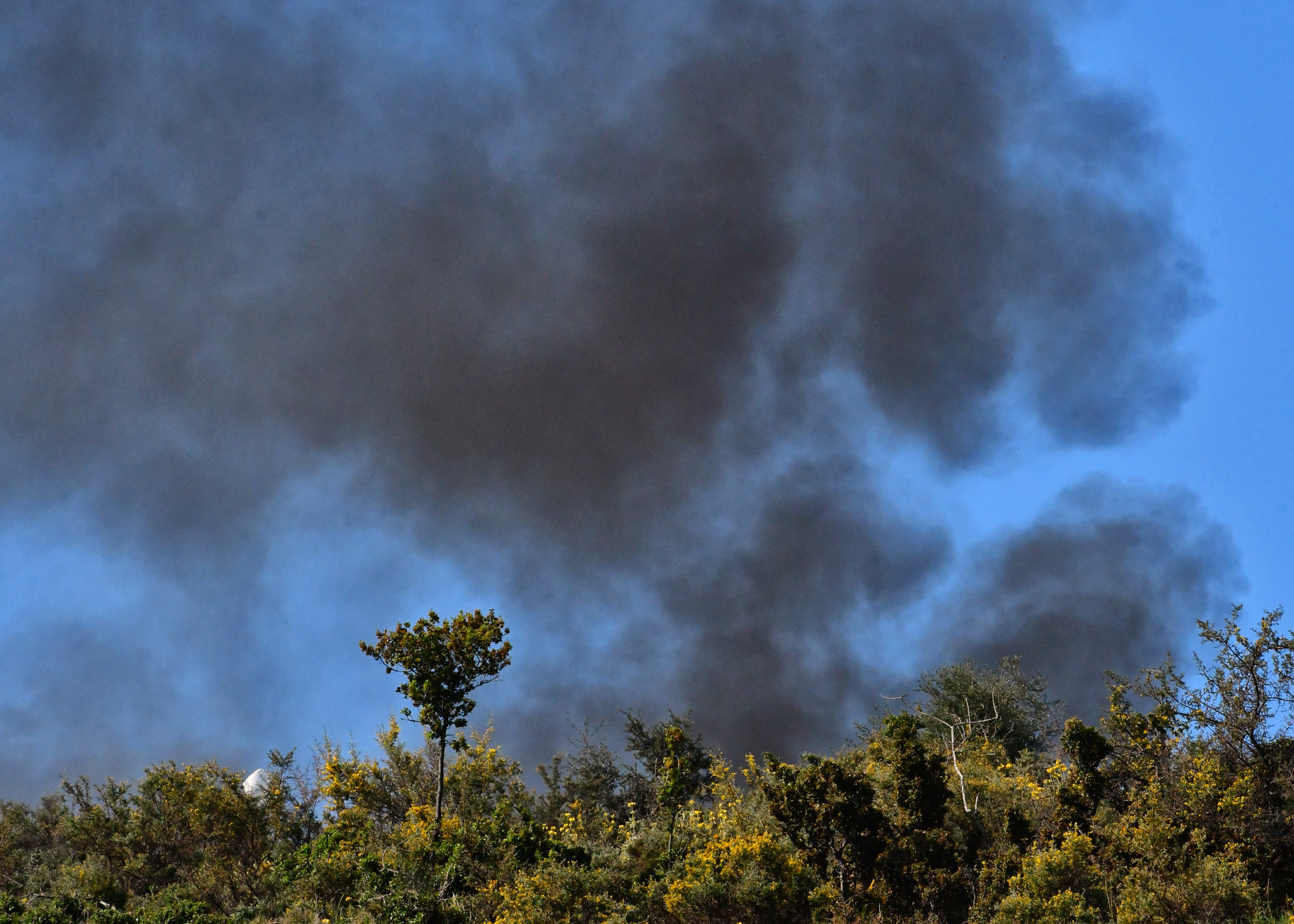 Nέο πύρινο μέτωπο στη Λάρισα