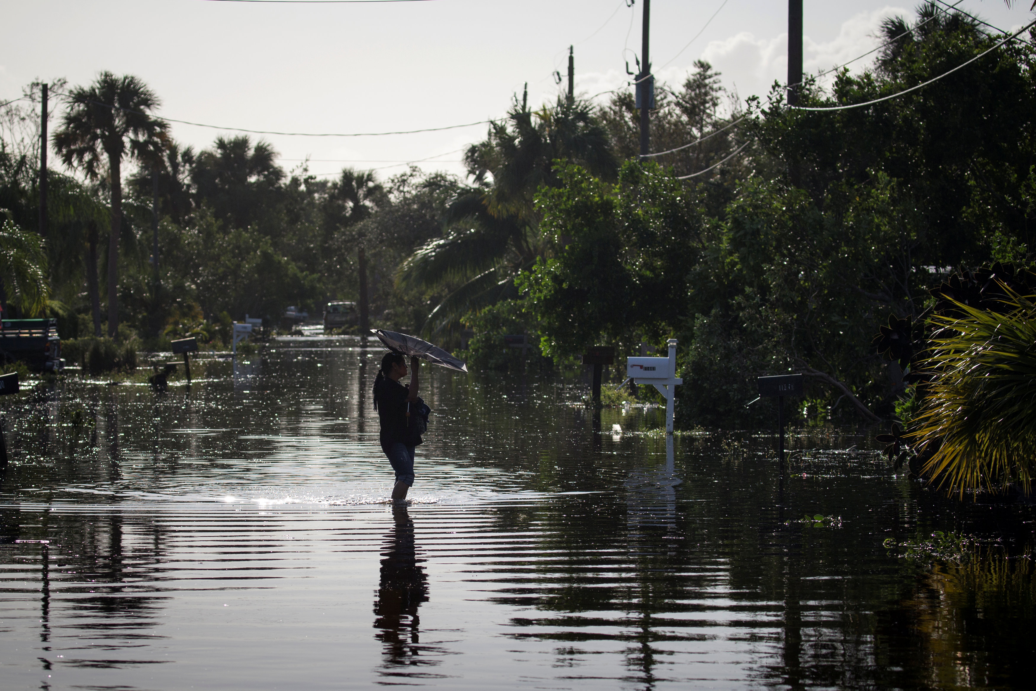 Ίρμα: Δραματικός απολογισμός, εκατομμύρια νοικοκυριά στο σκοτάδι