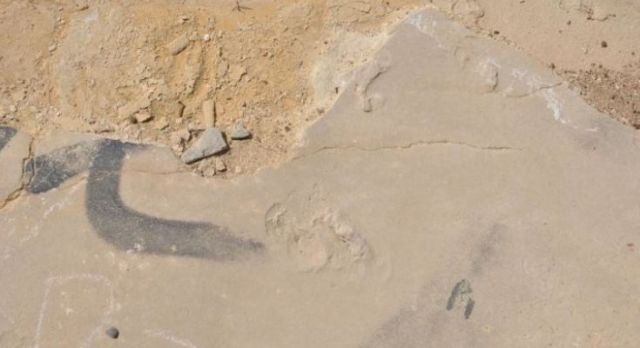 Κλάπηκαν 8 απολιθώματα αποτυπωμάτων στην Κίσσαμο