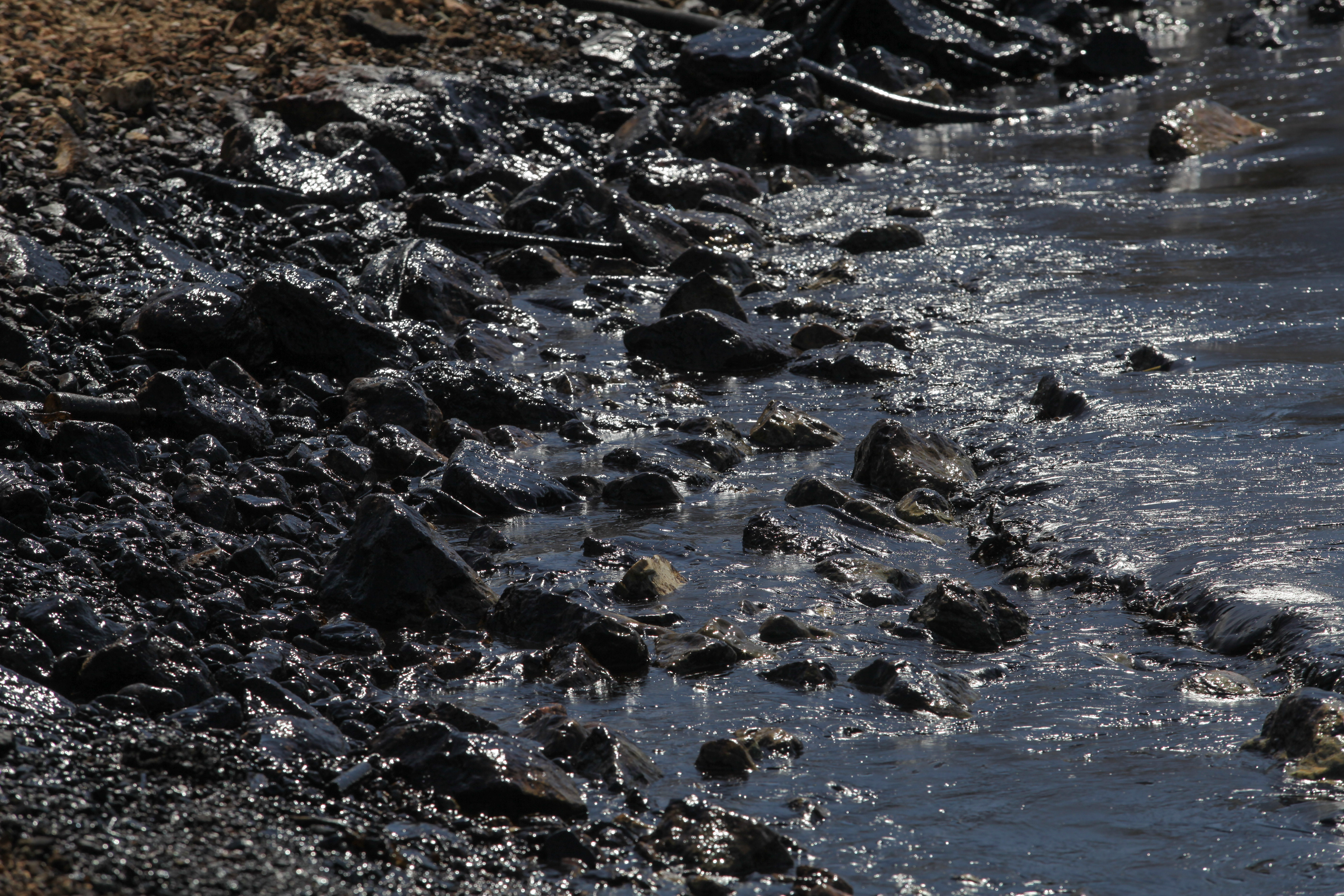 Βούρκος οι ακτές των νοτίων προαστίων