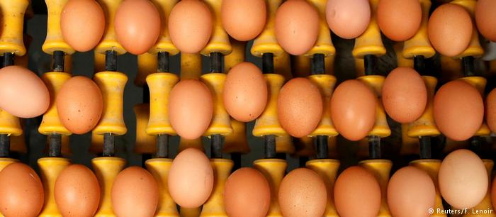 Στο Ευρωκοινοβούλιο τα «τοξικά αυγά»