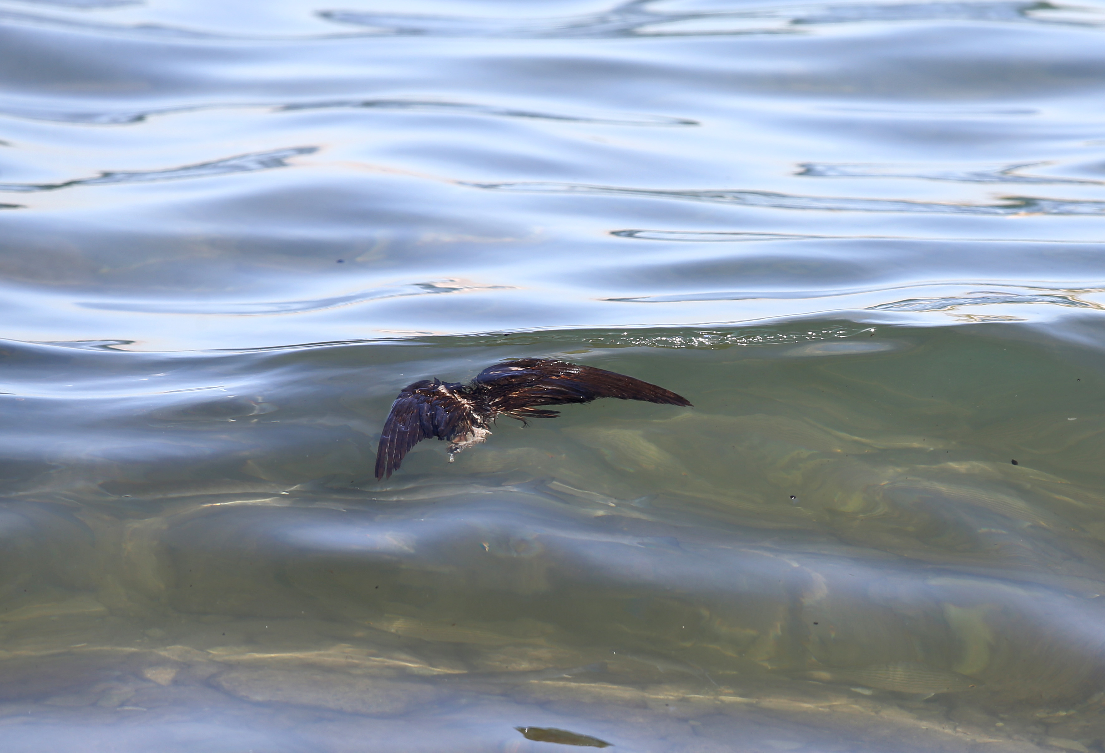 Αντιπεριφερειάρχης Πειραιά: Η περιοχή είναι πραγματική πυριτιδαποθήκη