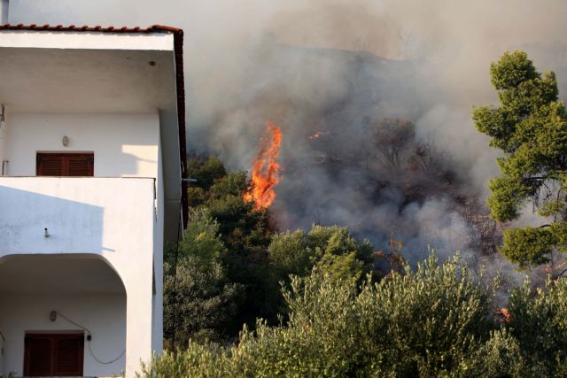 Κάηκαν σπίτια, ελιές και πεύκα στη Χαλκιδική, ολονύχτια η μάχη με τις φλόγες