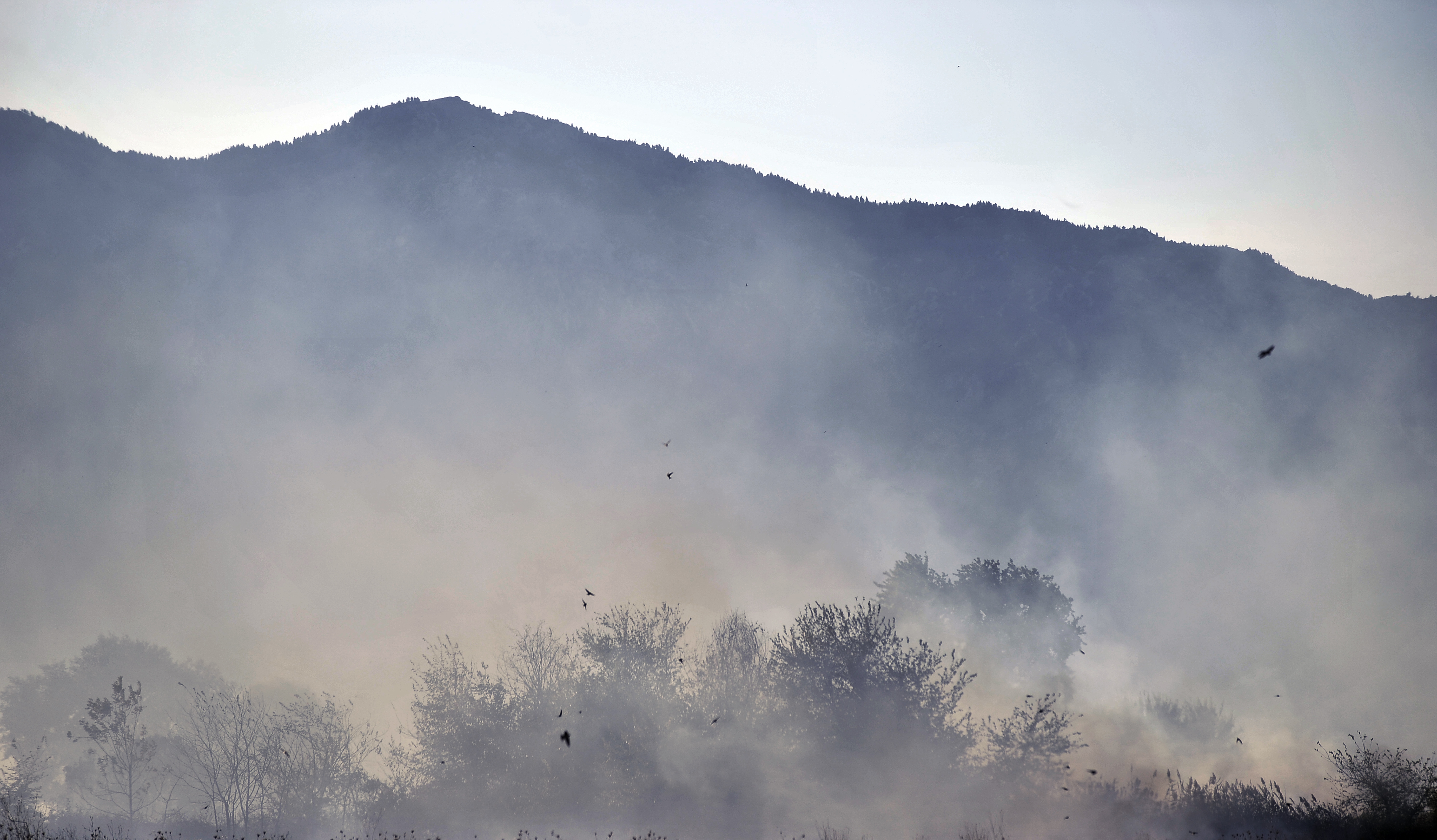 Σέρρες: Εκκενώθηκε προληπτικά ξενοδοχείο εξαιτίας της πυρκαγιάς