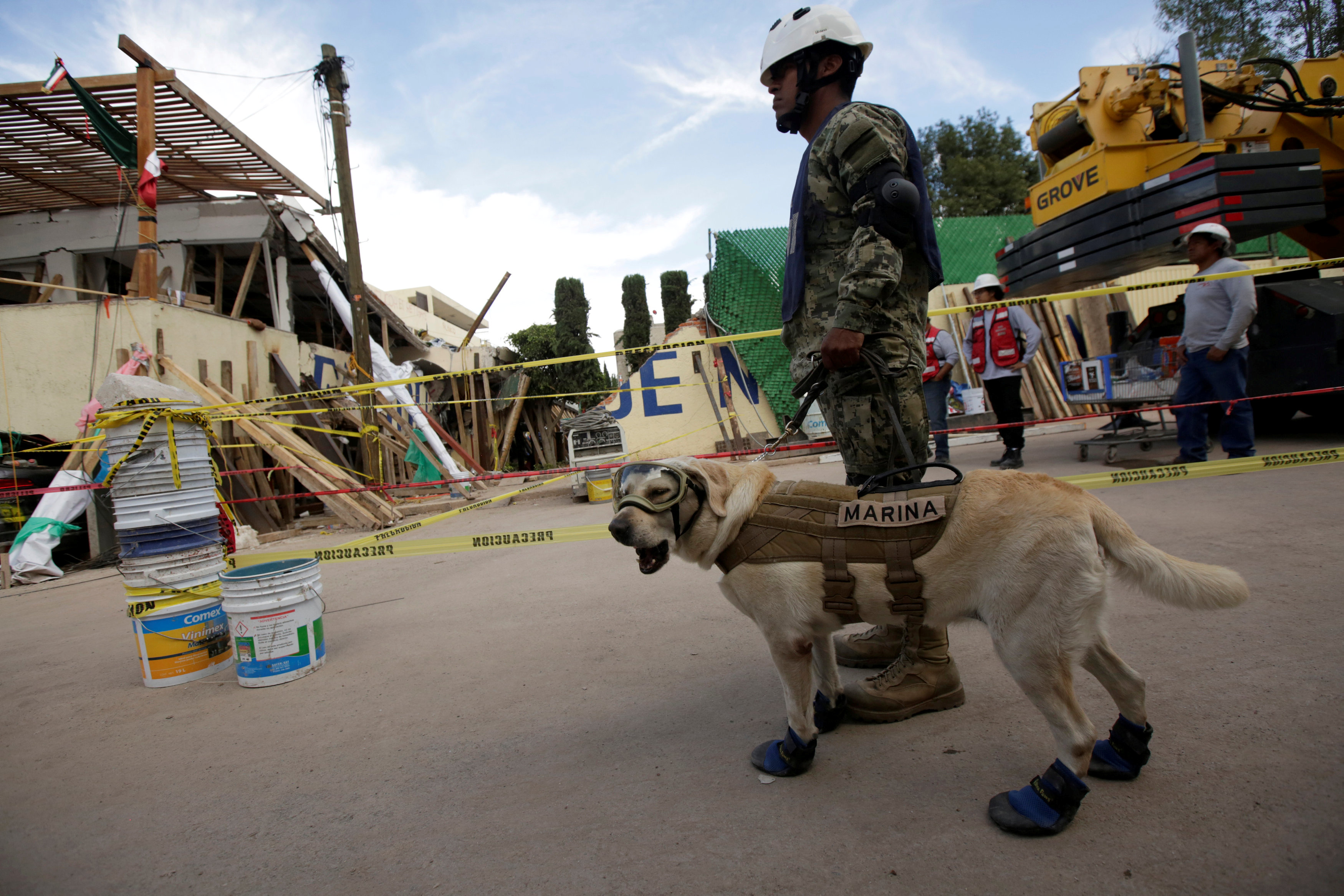 Μεξικό: Η σκυλίτσα-διασώστης που πρωτοστατεί στις έρευνες του σεισμού