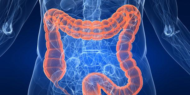 Καρκίνος Παχέος Εντέρου: Νωρίτερα να ξεκινά ο προληπτικός έλεγχος