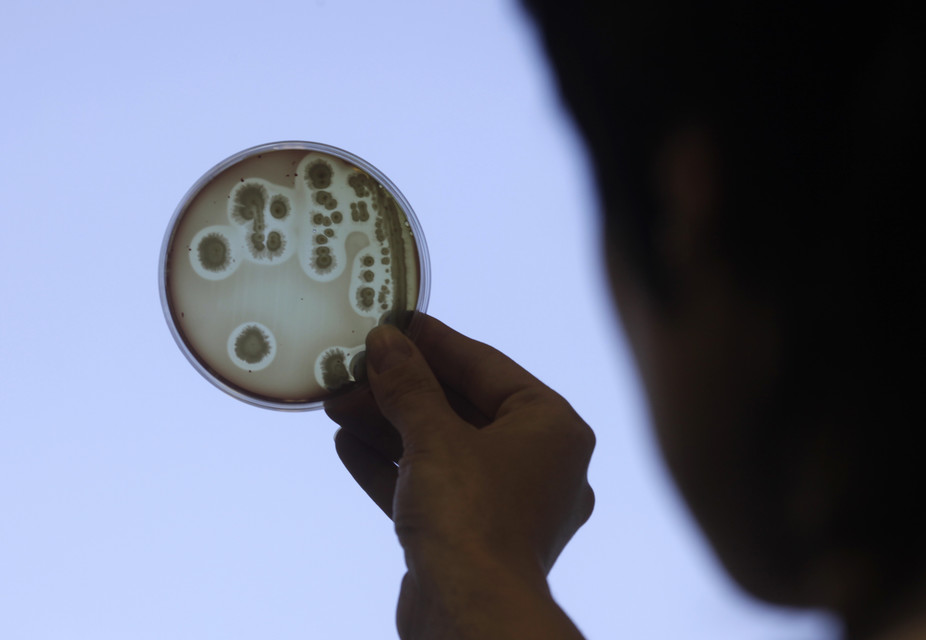 Ανακαλύφθηκαν γονίδια που κάνουν τα βακτήρια ανθεκτικά στα αντιβιοτικά