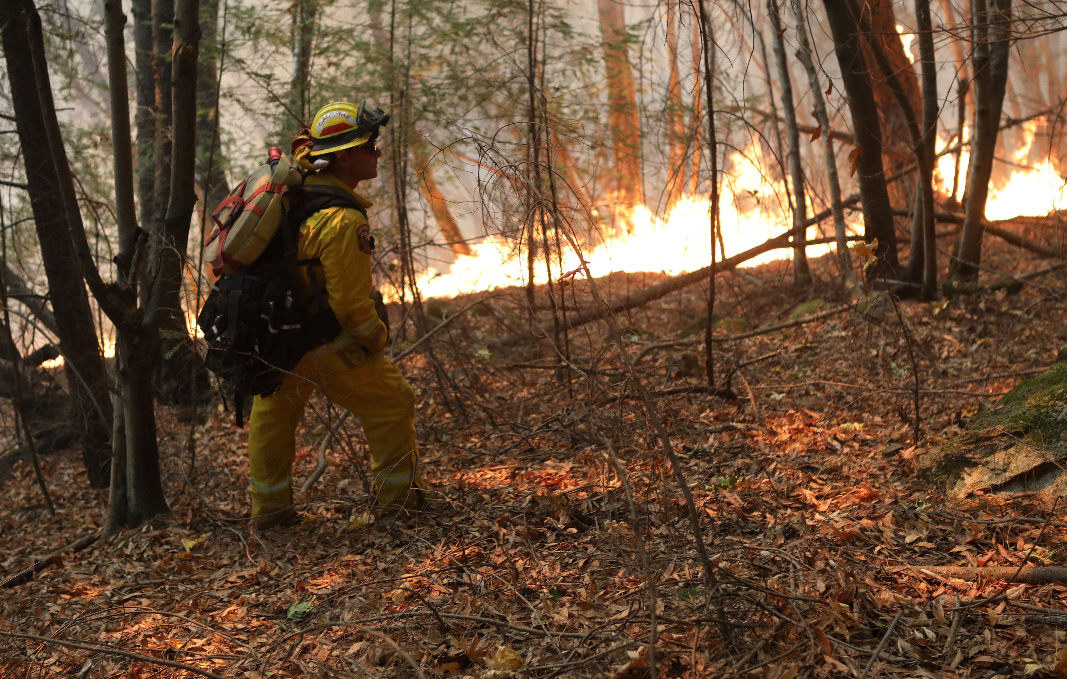 Καλιφόρνια: Συνεχίζεται η μάχη με τις φλόγες – Πάνω από 40 νεκροί [Βίντεο]