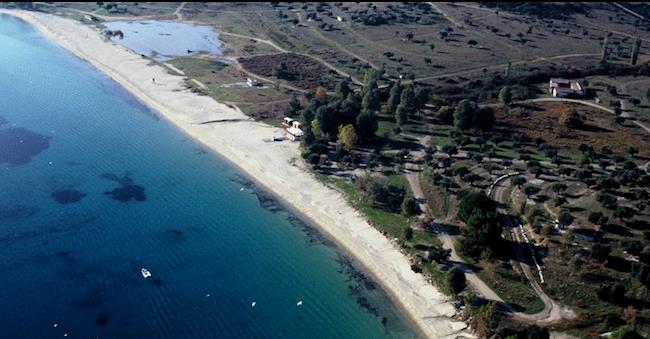 Δύο επενδύσεις που απειλούνται να μετατραπούν σε… δάσος