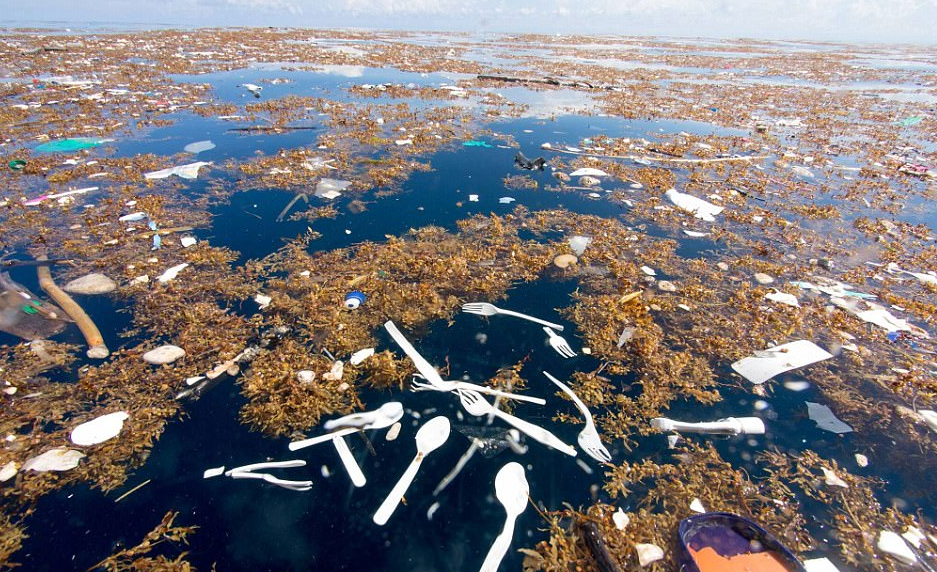 Θάλασσα πλαστικών και η Καραϊβική [Βίντεο]