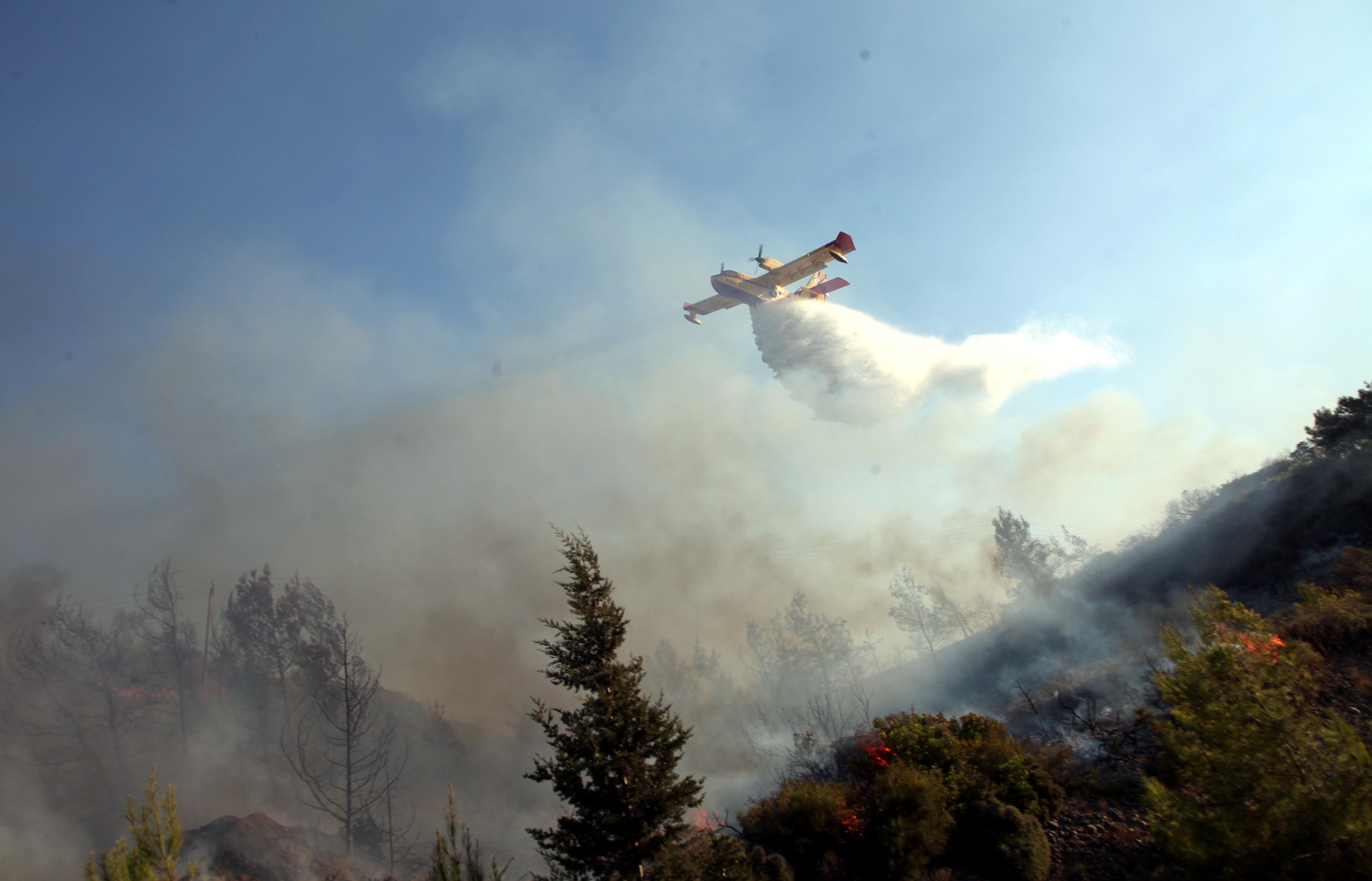 Πυρκαγιά σε ελατοδάσος στα Καλάβρυτα