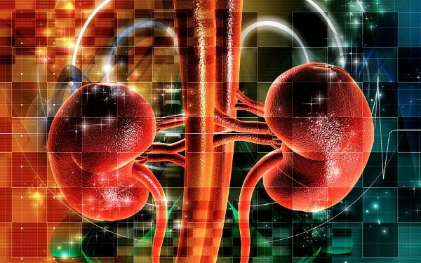 Επιστημονική ημερίδα για τον Καρκίνο του Ουρογεννητικού Συστήματος