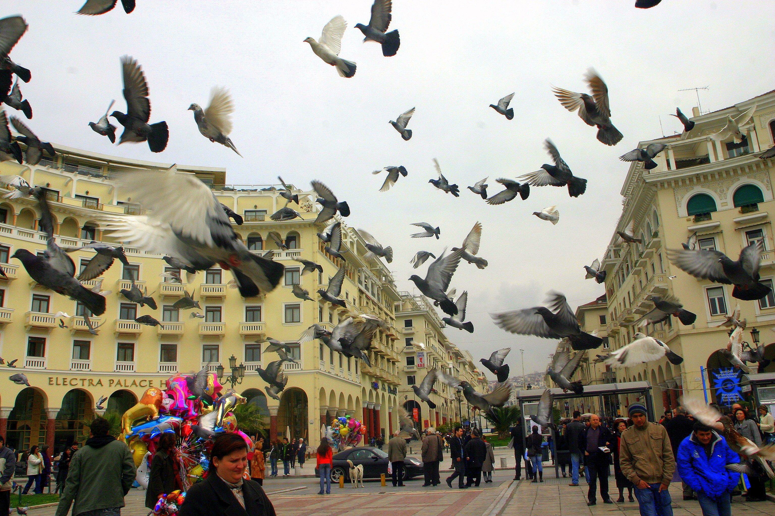 Πλατεία Αριστοτέλους, γέφυρα μεταξύ του χθες και του σήμερα
