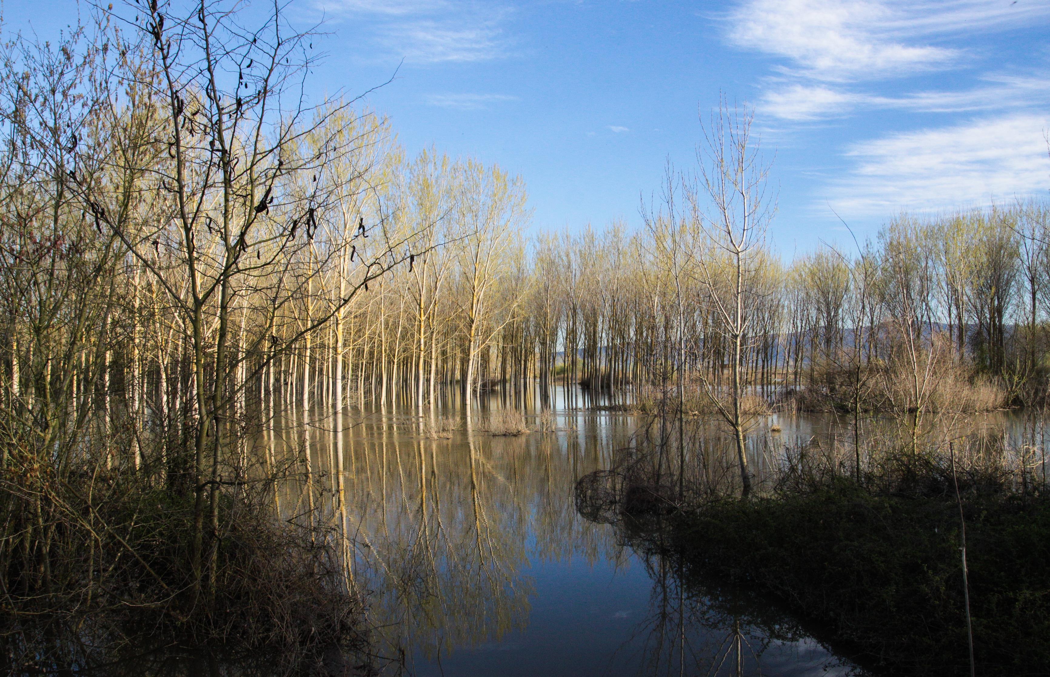 Οι Σέρρες υποψήφια πόλη για το βραβείο Πράσινης Πρωτεύουσας
