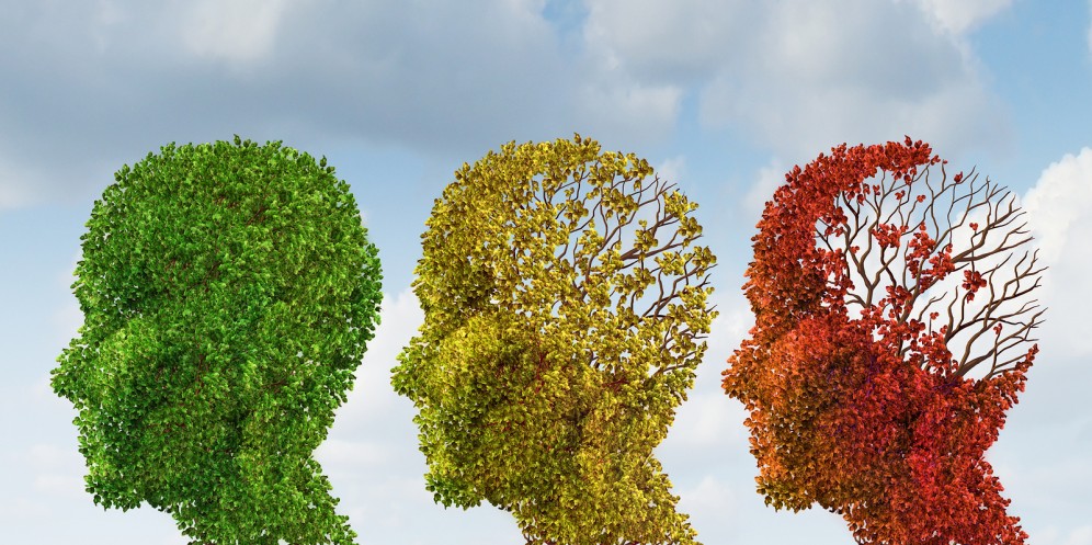 Νέα στοιχεία για τον εγκέφαλο, τη νόσο Αλτσχάιμερ και την άνοια